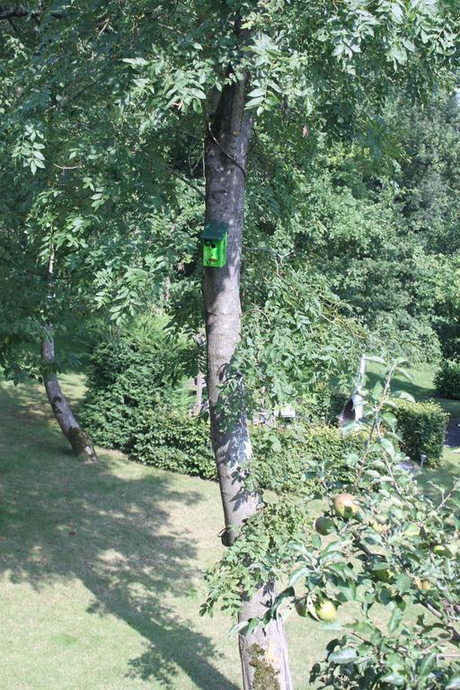 B&B Villa Roma Дюрбюи Экстерьер фото